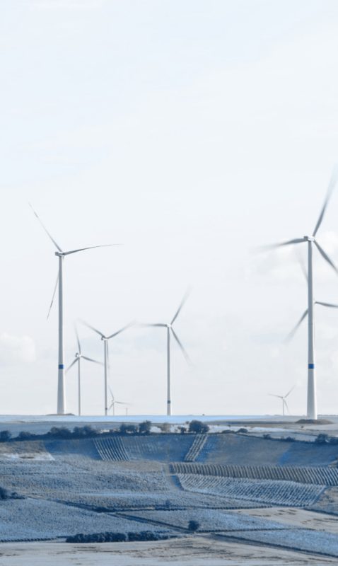A field full of wind turbines - demonstrating the growing supply and impact of the green energy sector.